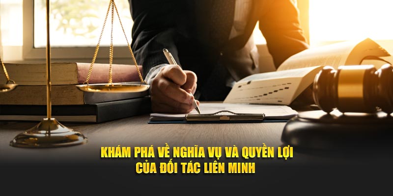 Khám phá về nghĩa vụ và quyền lợi của đối tác liên minh 